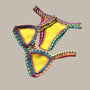 Julia - Brazilian Neoprene Swimsuit-Jordyn the Label