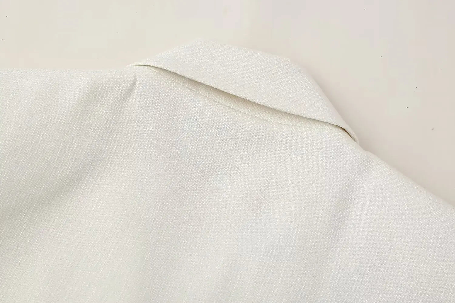 2 Piece Vest and Pants Set – Sleeveless Crop Blazer Top & High Waist Wide Leg Pants