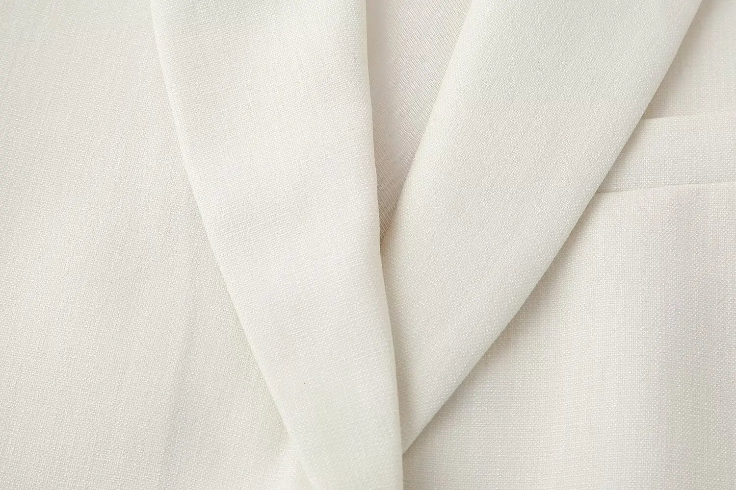 2 Piece Vest and Pants Set – Sleeveless Crop Blazer Top & High Waist Wide Leg Pants