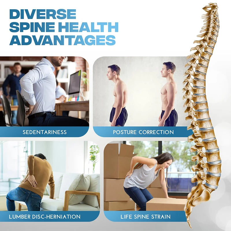 Lumbar Back Stretcher – Spine Support, Pain Relief & Yoga Stretching Device