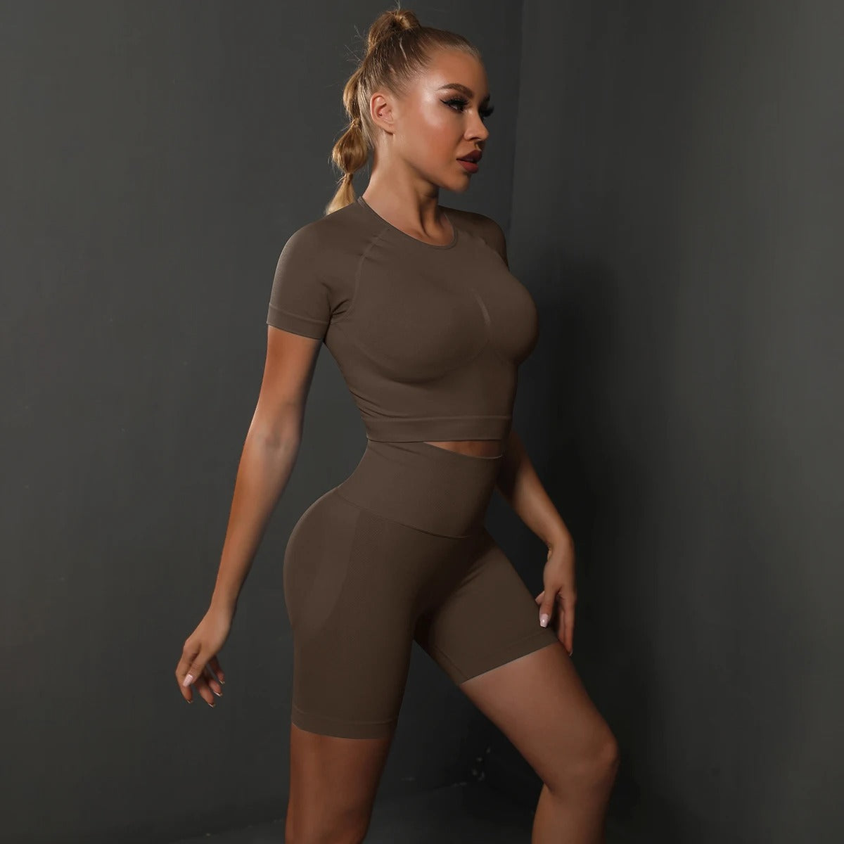 Seamless Workout Set – Short Sleeve Crop Top & High Waist Biker Shorts Activewear